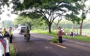 Pilihan Pembaca: Biker Meninggal Terlindas Trailer Hingga Ke Lokasi Judi Sabung Ayam